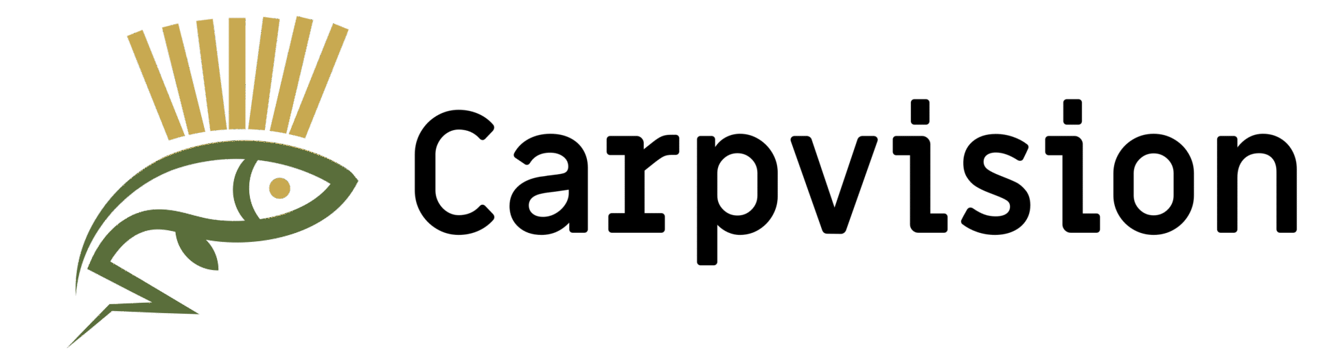 Carpvision